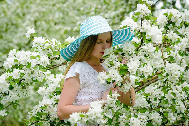 fiori